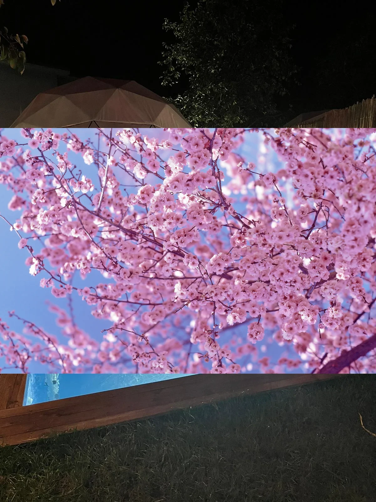 Isıtma Havuzlu Jakuzili Dome Glamping